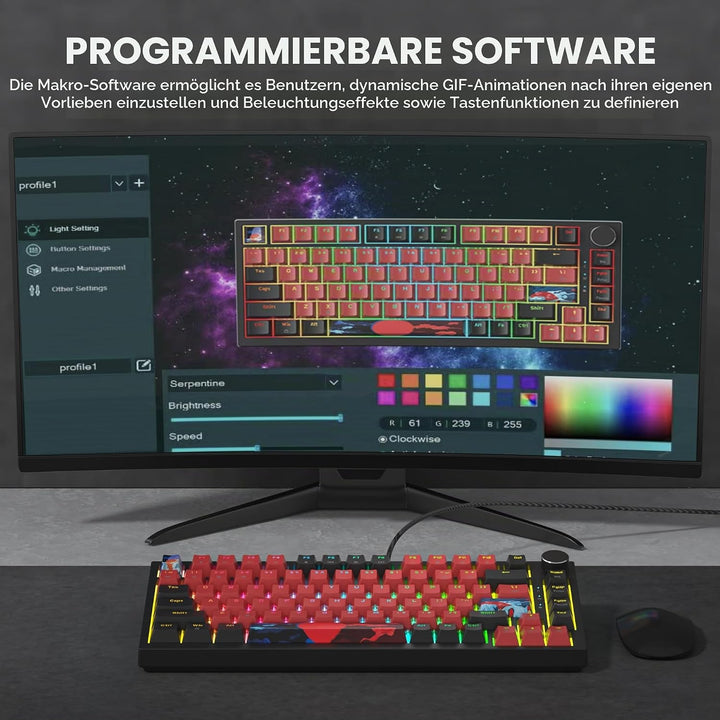 SOLIDEE Verkabelte 75% Mechanische Gaming-Tastatur,hot-swap-fähige Mechanische Tastatur mit Gasket S
