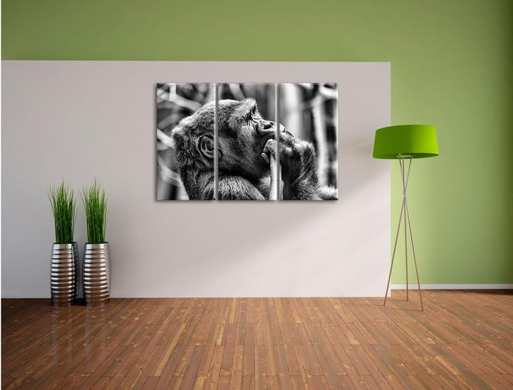 Pixxprint Gorilla isst als Leinwandbild/Grösse: 3 Teilig (120x80) cm/Wandbild/Kunstdruck/fertig besp