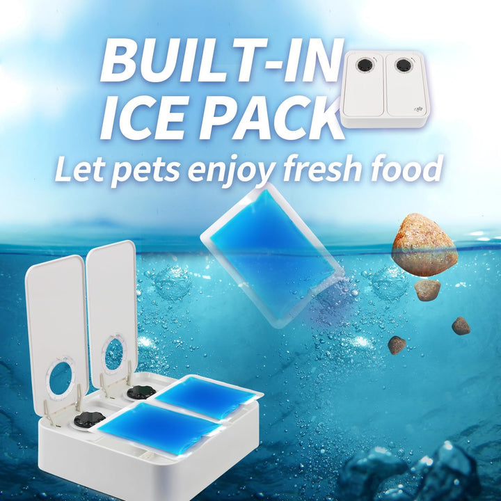 Liftstyle4Pets of Double Timer Feeder