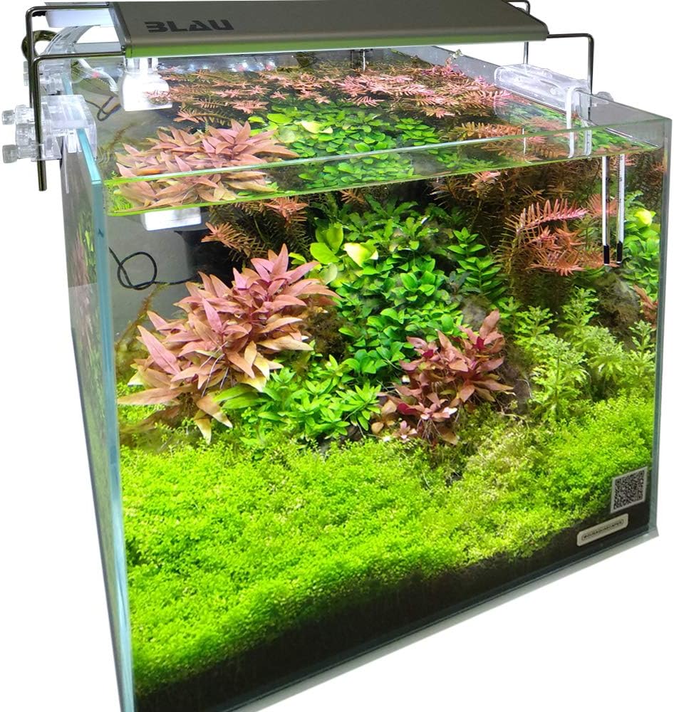 Blau Aquaristic Cubic Aquascaping 27, transparent durchsichtig 27 Liter (1er Pack), durchsichtig 27