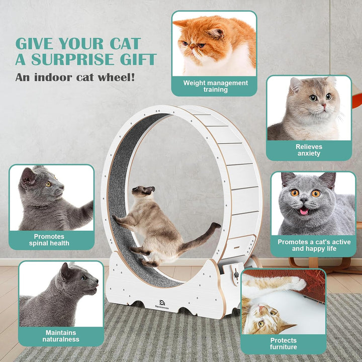 Katzenlaufrad XXL Durchmesser 135cm Gross laufrad Katze Super Leise Katzen Laufrad mit abnehmbarem T