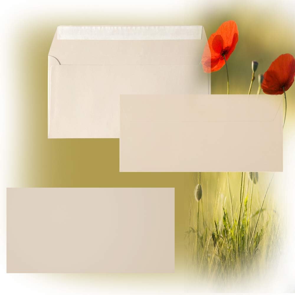 DIN lang Briefumschläge, 110x220mm, 120g, gerade Lasche mit Haftklebung, ideal für Geburtstag, Weihn