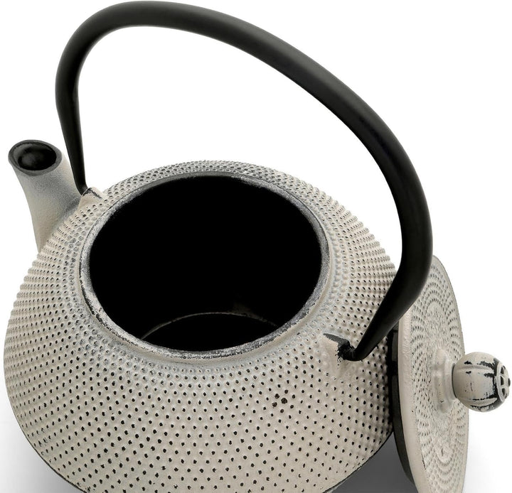 Bredemeijer Asia Teekanne Gusseisen Set 1.1 Liter - grauer Teekessel & Edelstahl-Filter-Einsatz für