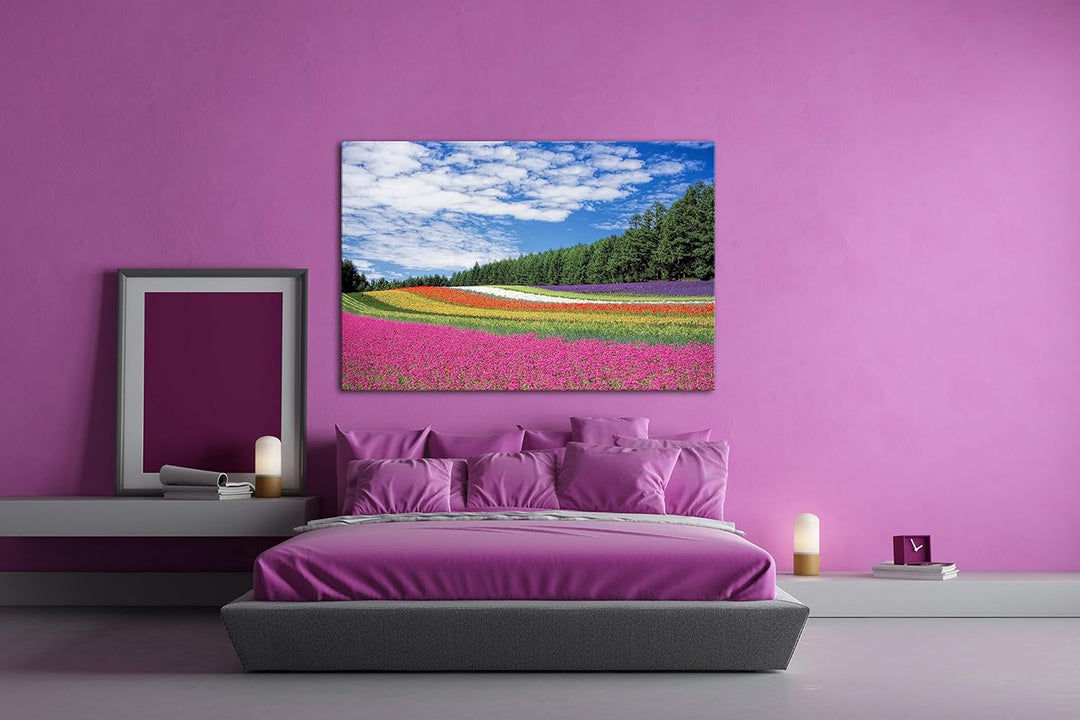 deyoli buntes Blumenfeld Format: 80x60 als Leinwandbild, Motiv fertig gerahmt auf Echtholzrahmen, Ho