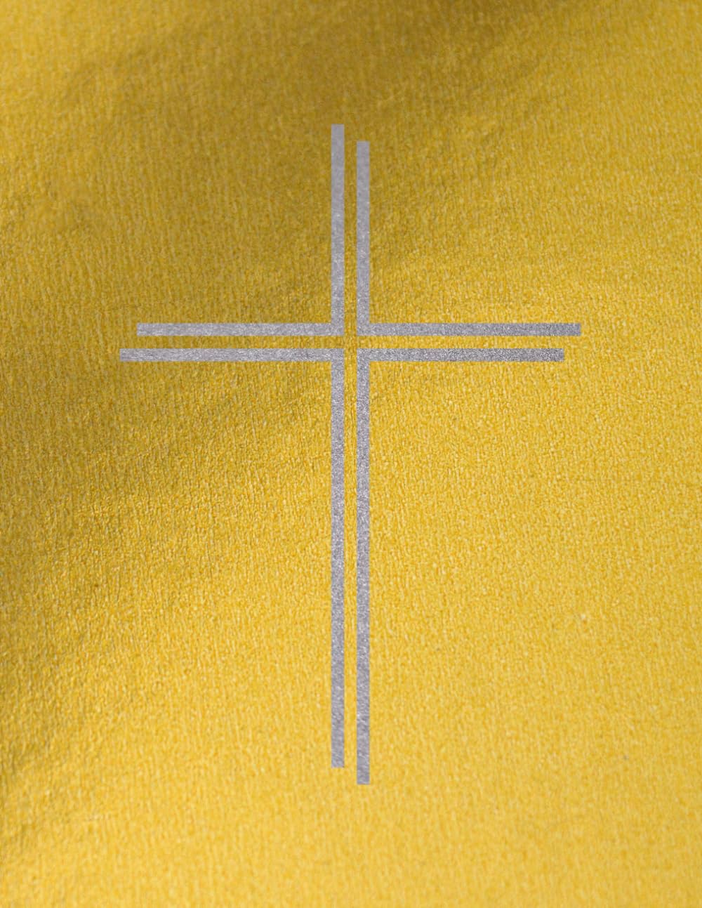 Das goldene Buch vom Nikolaus: mit Steckbriefen der Kinder (unbefüllt) sowie Wunschzetteln und Brief