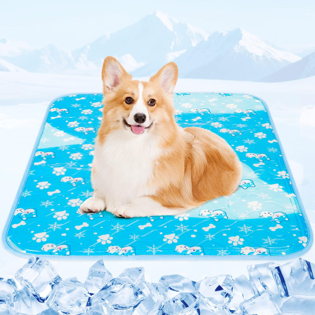 Kühlmatte Hund 60x45cm – Selbstkühlende Hundematte für Kleine Hunde & Katzen – Kühldecke für Körbche