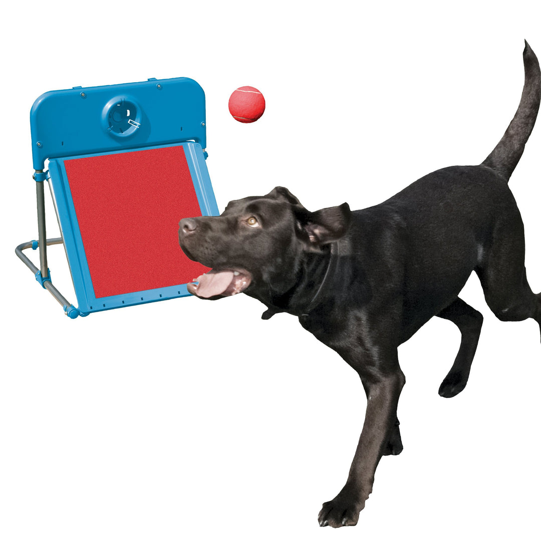Rosewood Hunde Agility Flyball Kit 1 Stück (1er Pack) Rot/Blau, 1 Stück (1er Pack) Rot/Blau