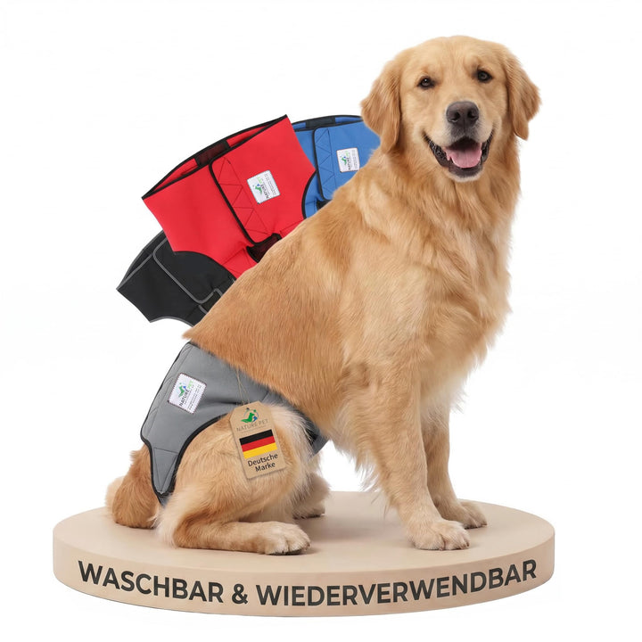 Läufigkeitshose für Hündinnen 2.0 - Hundewindeln aus hochwertigem perforiertem Neopren für einen opt