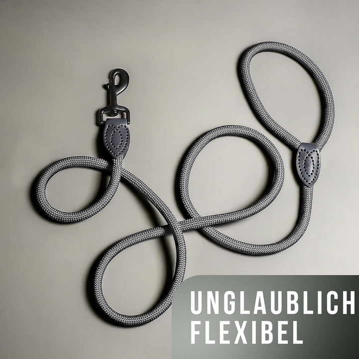 ne&no Tauleine für mittelgrosse bis ganz grosse Hunde 1.7m I Trainingsleine I Hundeleine robust I Fü