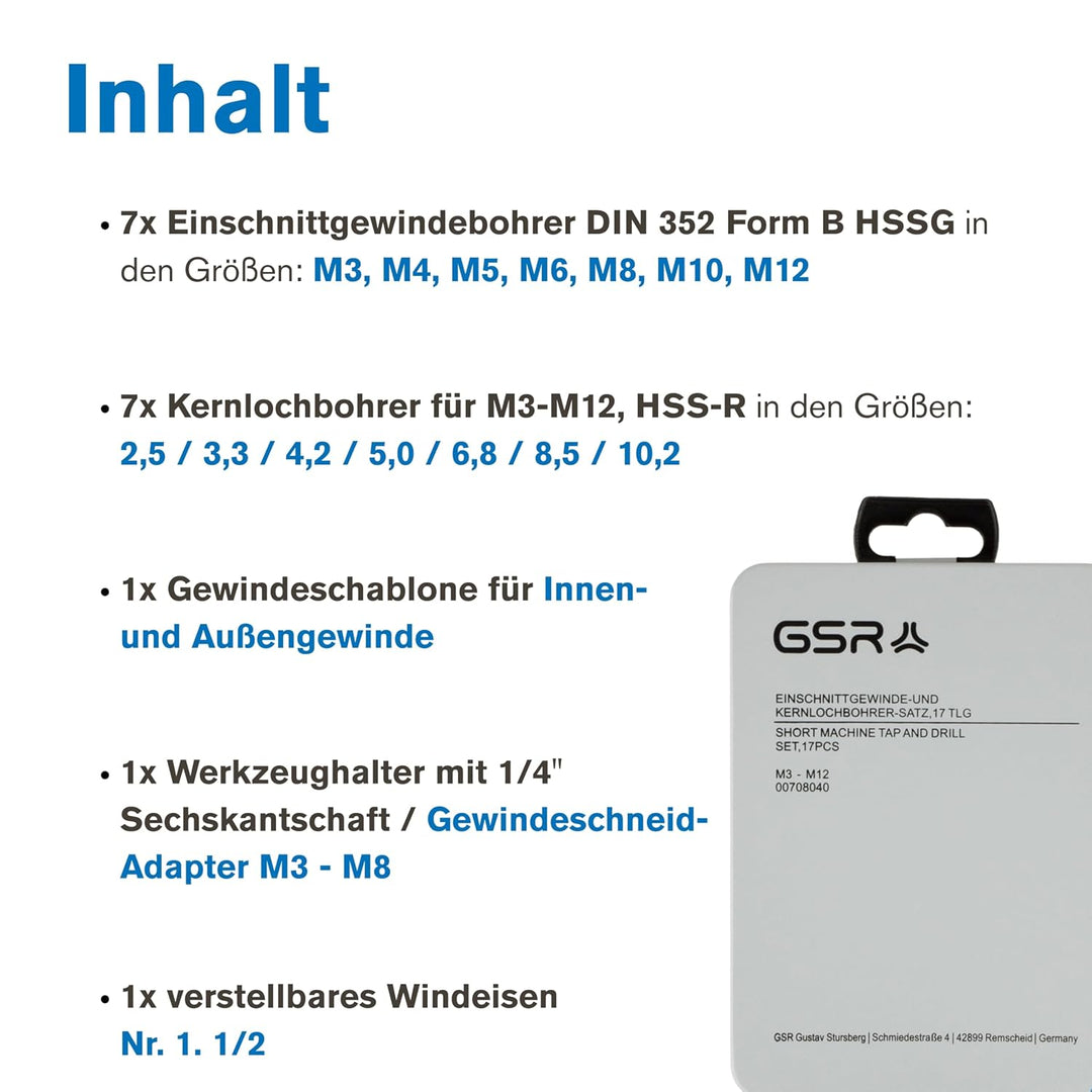GSR Gewindeschneider Set, 17-teilig, HSSG Gewindebohrer Set, M3-M12, Mit Gewindebohrer-Halter 1/4''