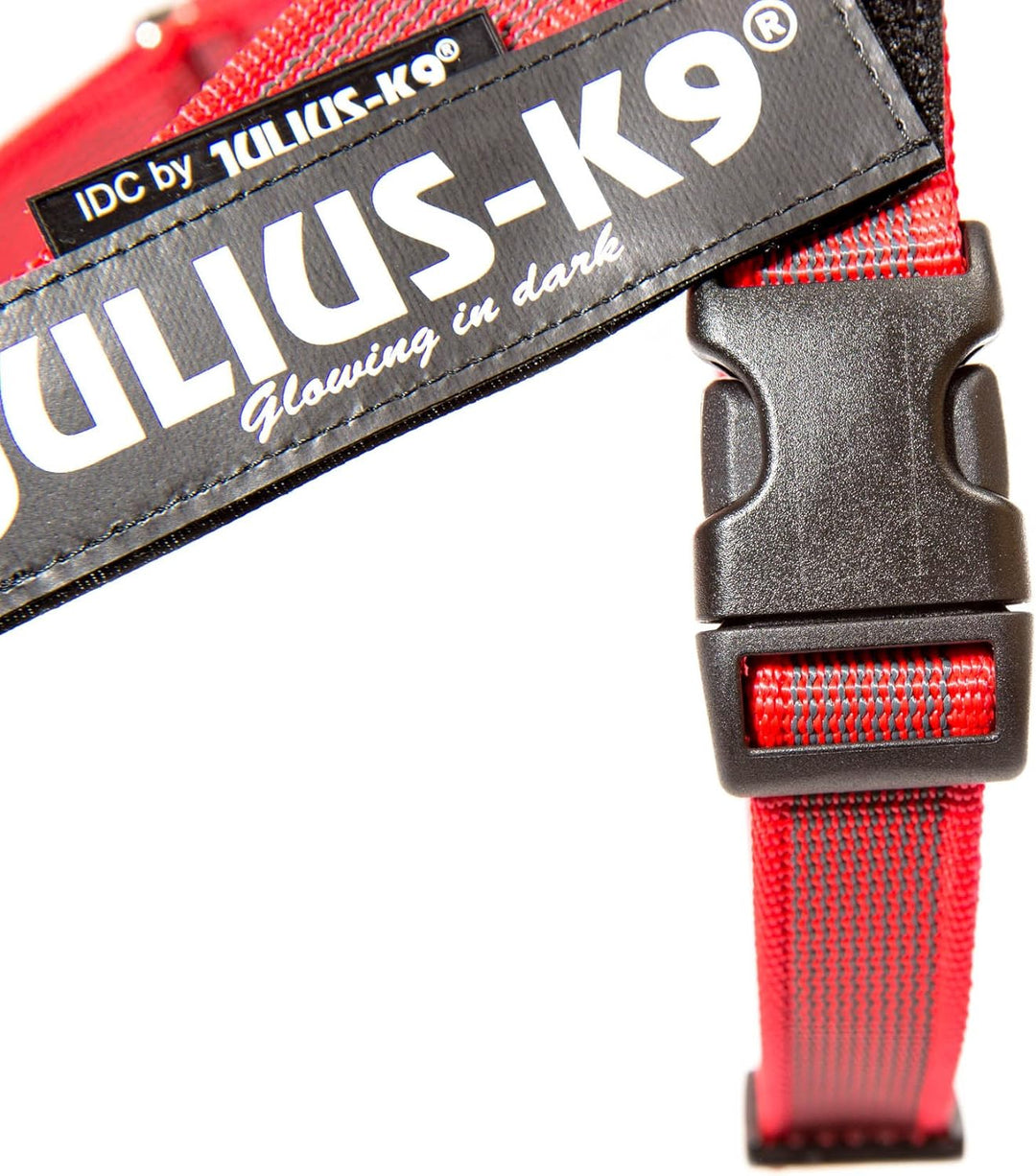 Julius-K9, Color & Gray, Beltgeschirr XS / Mini-Mini rot-grau, XS / Mini-Mini rot-grau