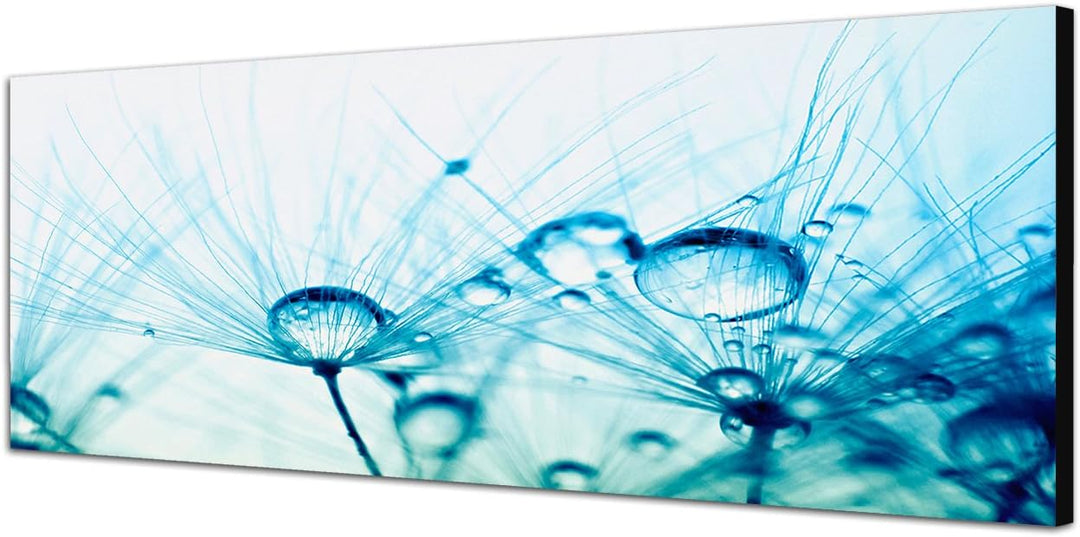 Paul Sinus Art Panoramabild auf Leinwand und Keilrahmen 120x40cm Pusteblume Wassertropfen Tau