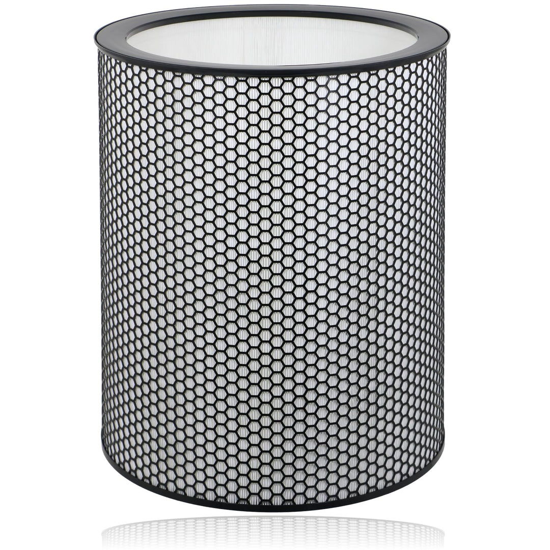 DYSON Big & Quiet Luftreinigerfilter BP03 BP04 BP06 True HEPA