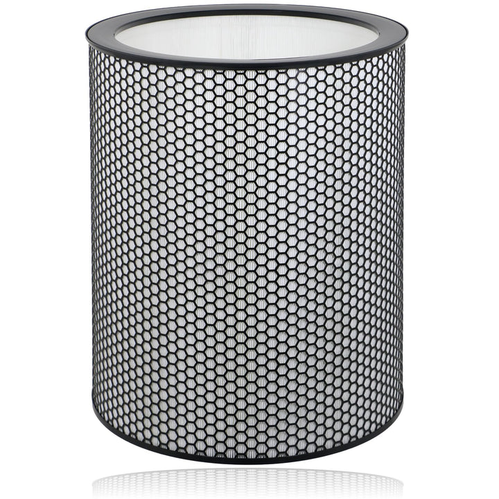 DYSON Big & Quiet Luftreinigerfilter BP03 BP04 BP06 True HEPA