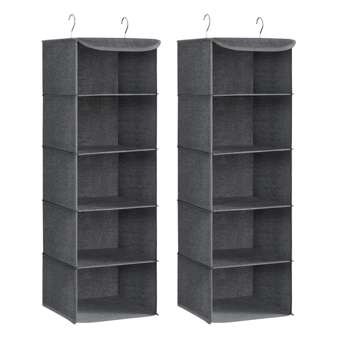 SONGMICS Hängeorganizer, 2er Set, Schrank-Organizer, Hängeregal, Hängeaufbewahrung, faltbar und plat