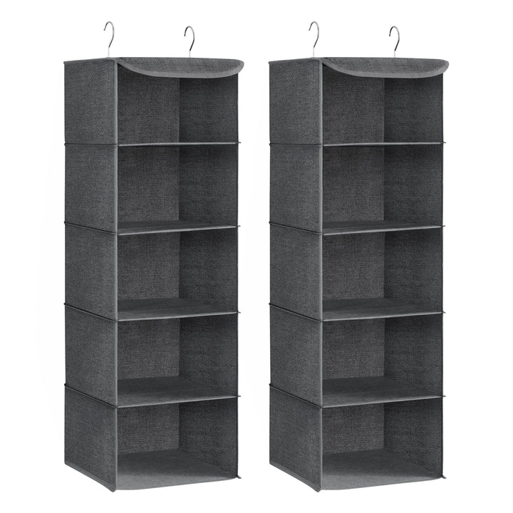 SONGMICS Hängeorganizer, 2er Set, Schrank-Organizer, Hängeregal, Hängeaufbewahrung, faltbar und plat