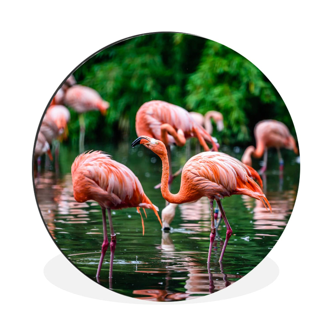 MuchoWow Wandbild Rund Wanddeko Deko Wohnzimmer Bilder 30x30 cm Flamingo - Tropisch - Vogel - Wasser