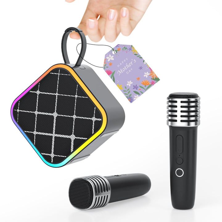 Mini Karaoke-Maschine 2 kabellose Mikrofone, tragbare Bluetooth Karaoke-Lautsprecher mit Tragegriff