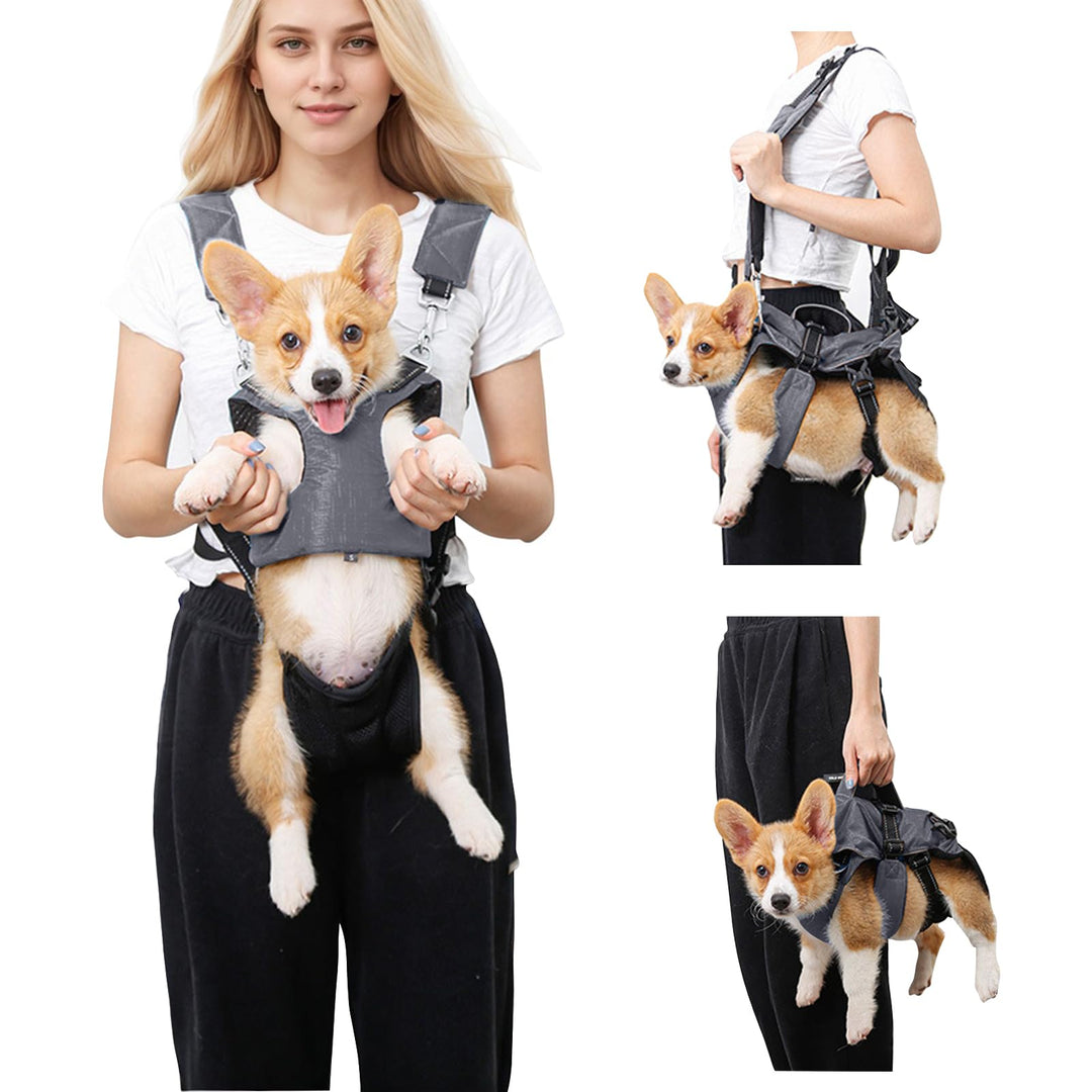 PETCUTE Haustier Rucksack Hundetragetasche,Verstellbare Brust Hunderucksack für Klein Hunde Katzen,T