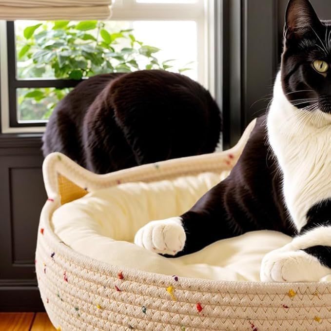Katzenbett Waschbar, Katzenkorb zum Schlafen aus Baumwollseilen, Rund Katzenkörbchen Baumwollekissen