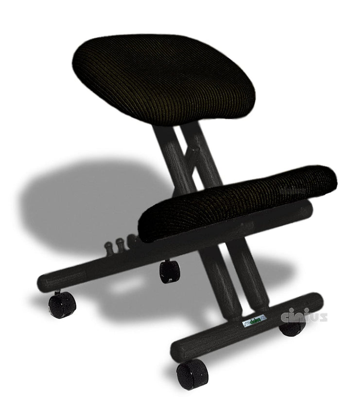 cinius Ergonomischer Stuhl Orthopädischer Kniestuhl Computerstuhl Kniehocker Stoff Schwarz Farbe, Sc