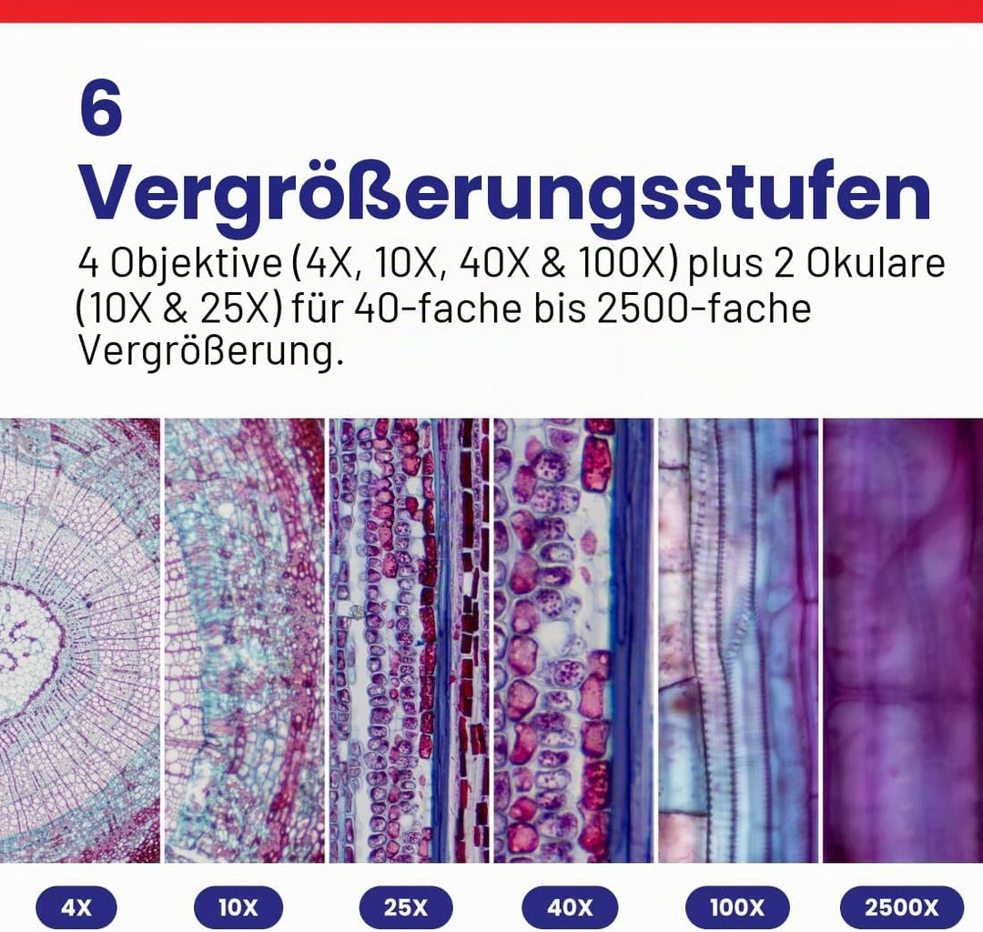 AmScope B120C-E5 40X-2500X LED Digitales Binokular-Verbundmikroskop mit 3D-Bühne und 5MP USB-Kamera