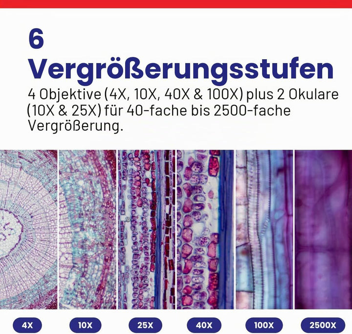 AmScope B120C-E5 40X-2500X LED Digitales Binokular-Verbundmikroskop mit 3D-Bühne und 5MP USB-Kamera