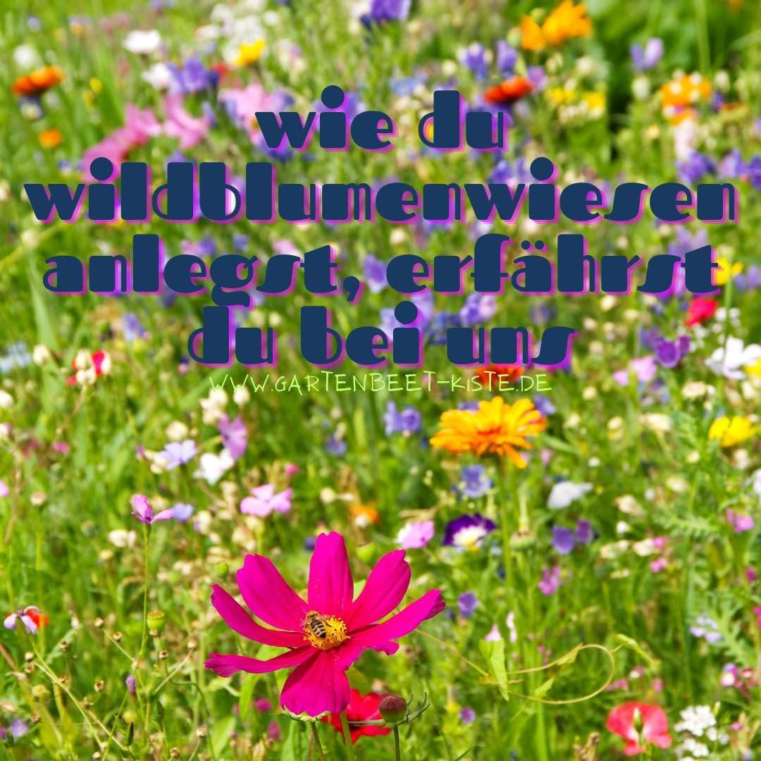 Bienenhotel Stamm Insektenhotel Wildbienen Eiche Massivholz Hartholz Wildbienenhotel Nisthilfe Biene