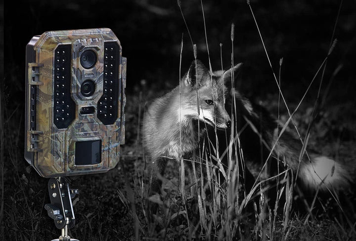 VisorTech Infrarot Wildkamera: 4K-Wildkamera mit Dual-Linse, IR-Nachtsicht, inkl. Akku-Solarpanel (m