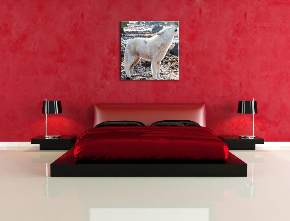 Pixxprint heulende Wölfe, Format: 70x70 auf Leinwand, XXL riesige Bilder fertig gerahmt mit Keilrahm