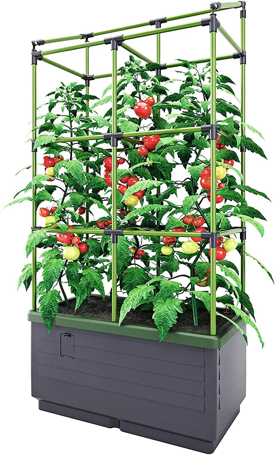 Bio Green JGL-T, City Jungle, Der kleine Garten für Balkon und Terrasse & City Jungle Haube