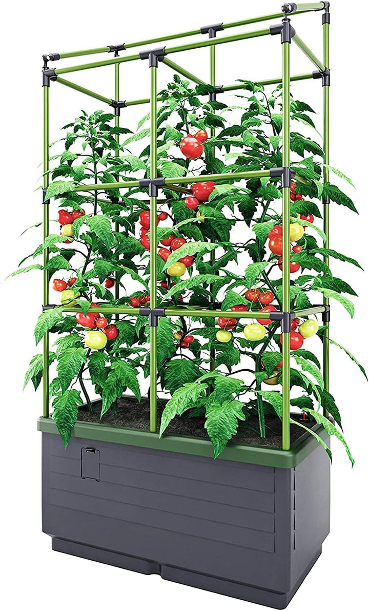 Bio Green JGL-T, City Jungle, Der kleine Garten für Balkon und Terrasse & City Jungle Haube