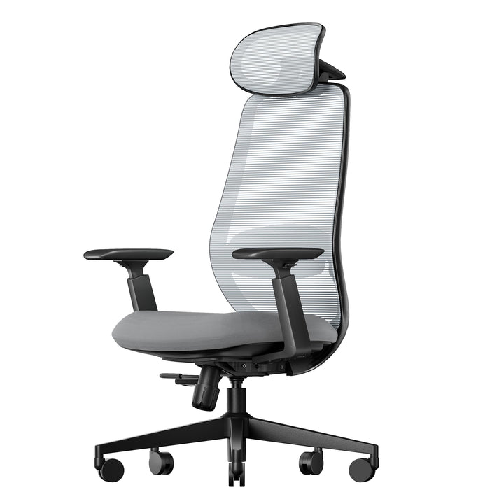 ProtoArc EC200 Bürostuhl Ergonomisch, Schreibtischstuhl mit Höhen- und Tiefenverstellbarer Lendenwir