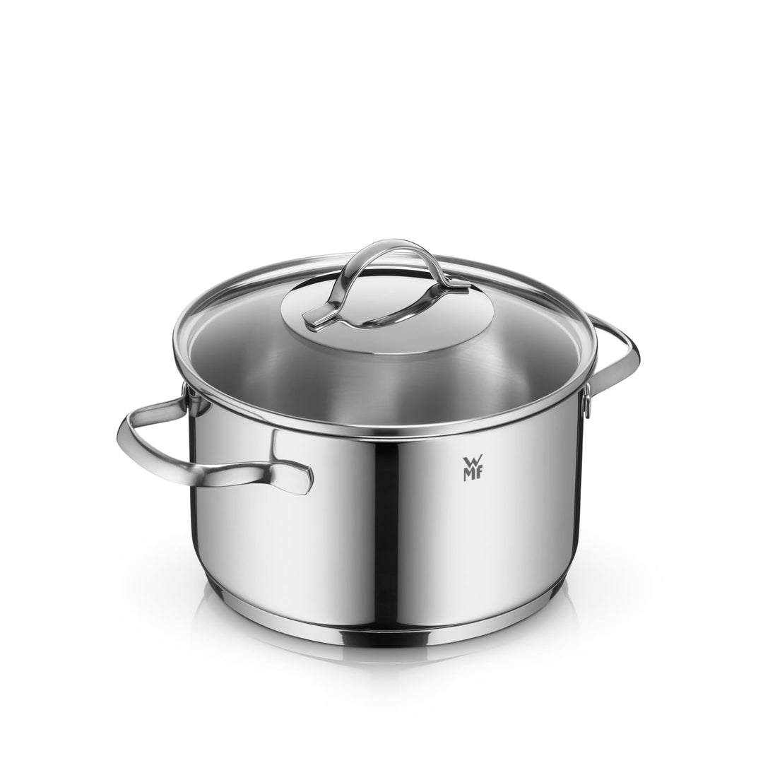 WMF Provence Plus Kochtopf gross 20cm, Glasdeckel, Fleischtopf Induktion 3,3l, Cromargan Edelstahl p