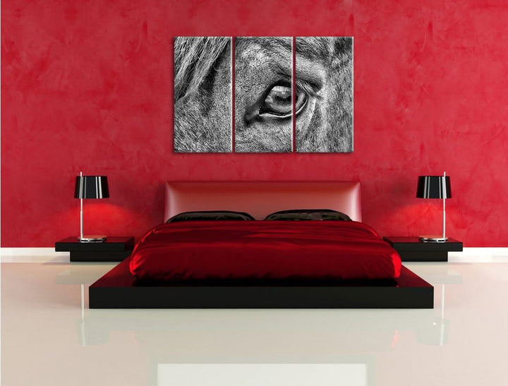 Pixxprint sanfte grosse Pferdeaugen als Leinwandbild/Grösse: 3 Teilig (120x80) / Wandbild/Kunstdruck