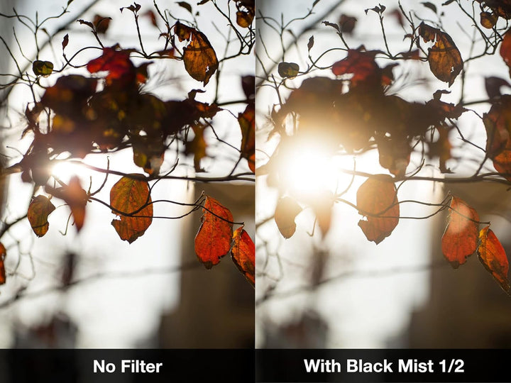 NiSi 52mm Black Mist 1/2 Diffusion Filter - Promist Effektfilter (1/2 Blende), 52mm Black Mist 1/2