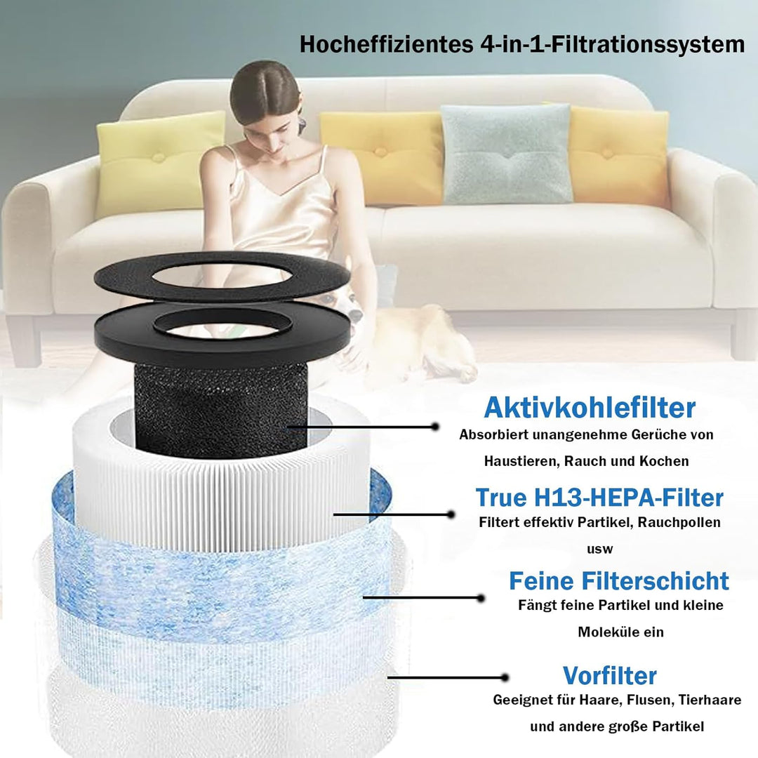 Ersatzfilter für CONOPU DH-JH01 & DH-JH06 Luftreiniger, 3-in-1, H13 True Hepa mit Hocheffizienter Ak