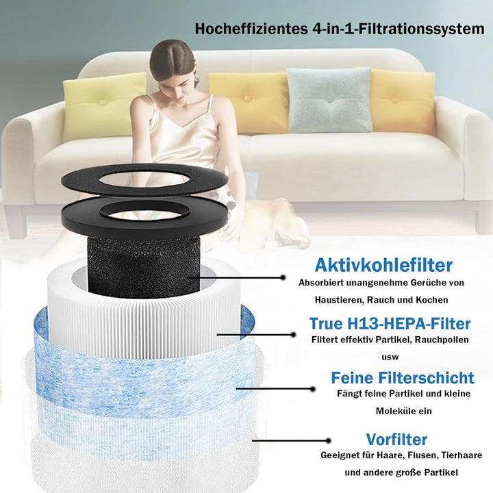 Ersatzfilter für CONOPU DH-JH01 & DH-JH06 Luftreiniger, 3-in-1, H13 True Hepa mit Hocheffizienter Ak