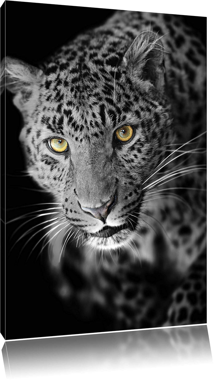 Dark prächtig anmutiger Leopard schwarz/weiss Format: 100x70auf Leinwand, XXL riesige Bilder fertig