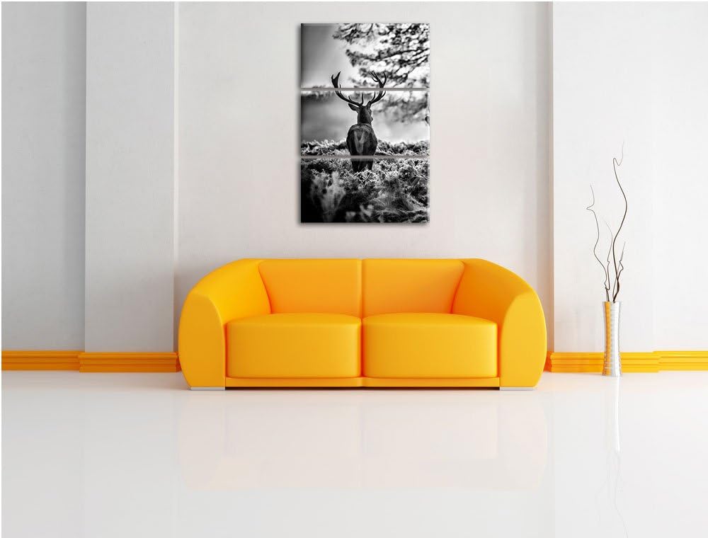 Pixxprint Monocrome, Hirsch Rivalen kämpfen 3-Teiler Leinwandbild 120x80 Bild auf Leinwand