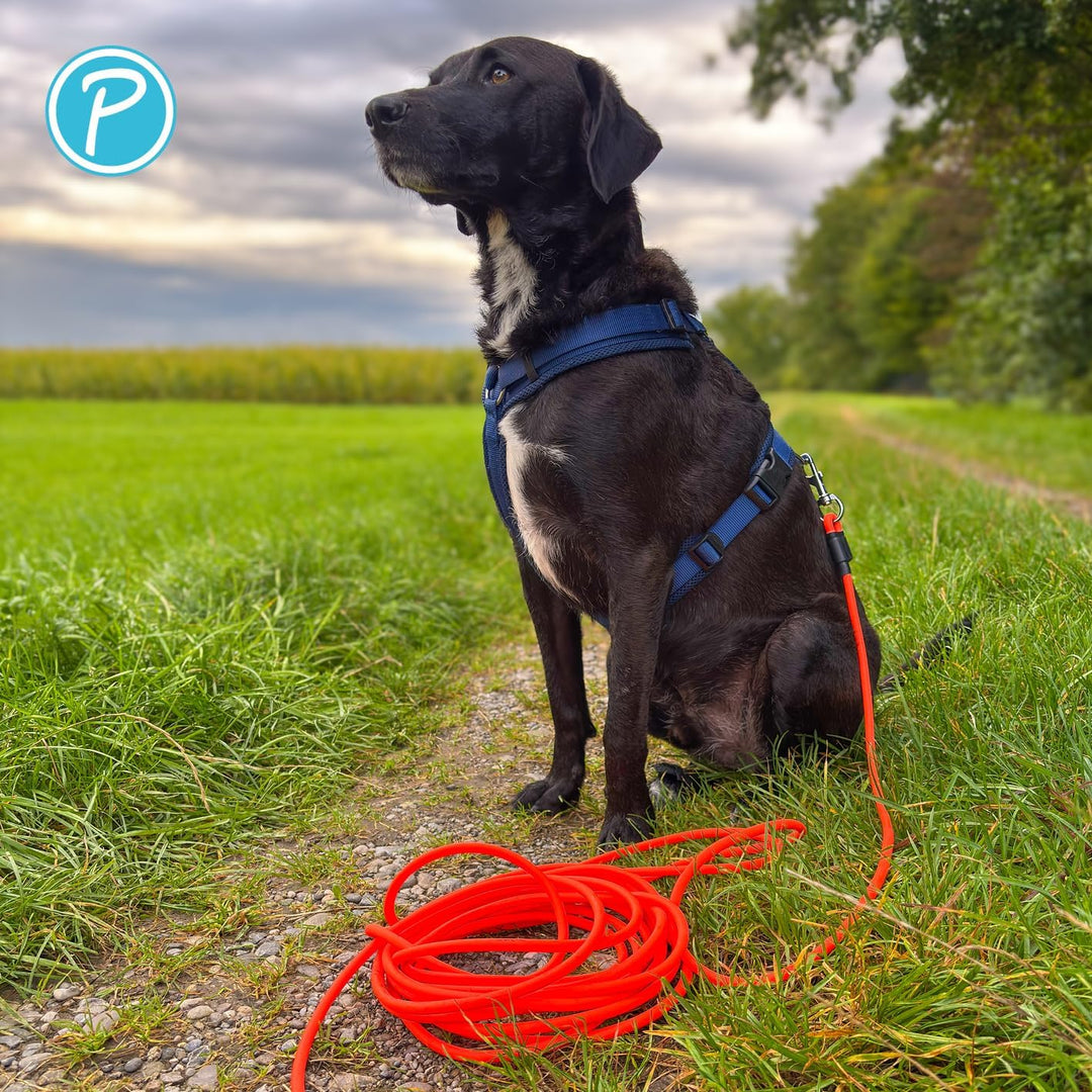 Petlando Hundeleine Trekking Rund 5 m Orange, extrem robust & Abriebfest, pflegeleicht & schnelltroc