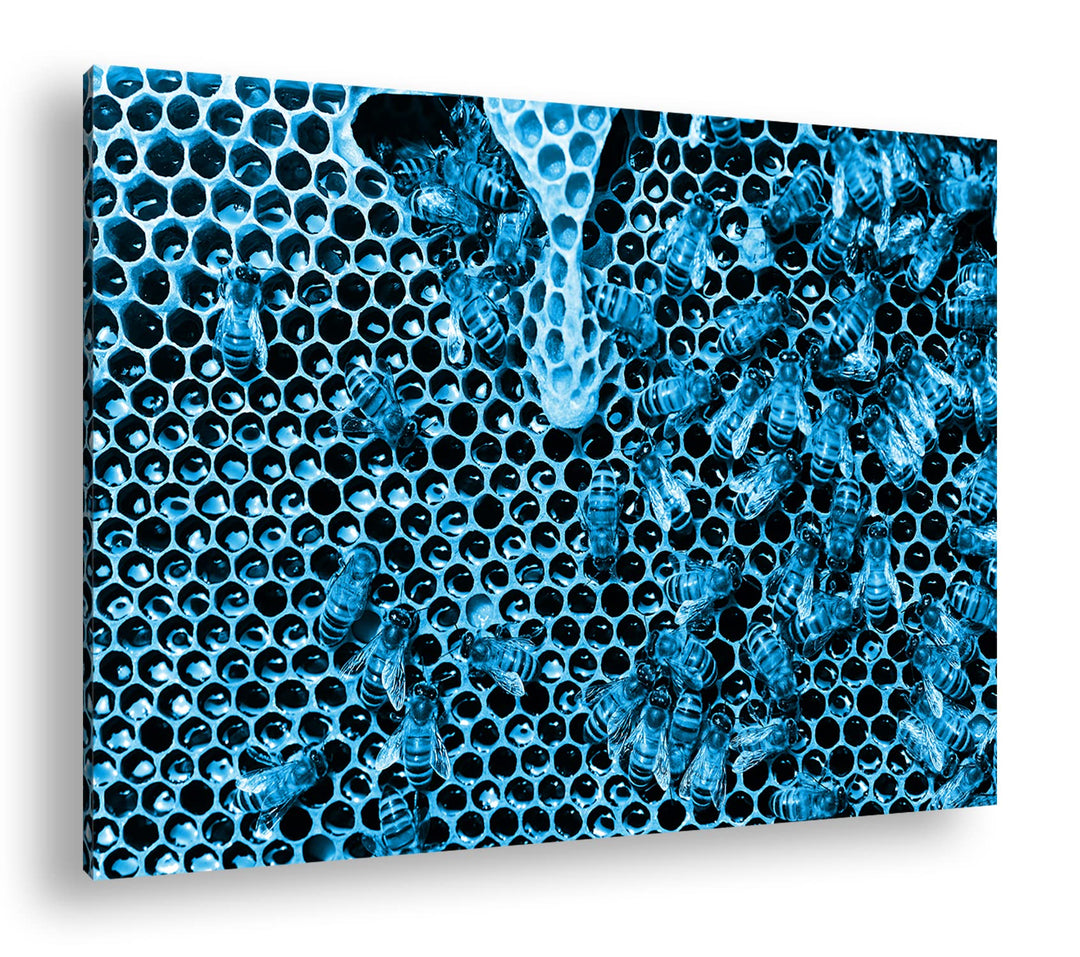 deyoli atemberaubende Honigwabe mit Bienen Format 80x60 Effekt: Monocrome Blau als Leinwandbild, Mot
