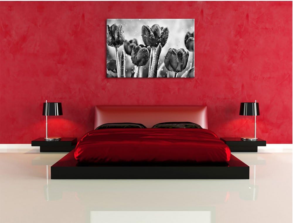 Pixxprint Rote Tulpen mit Tropfen bedeckt / 100x70cm Leinwandbild bespannt auf Holzrahmen/Wandbild K