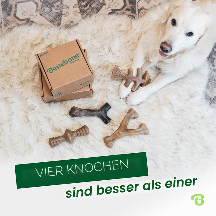 Benebone Unzerstörbare Hunde-Kauspielzeug-Geschenkbox für aggressive Kauer mit Querlenker, Fischgrät