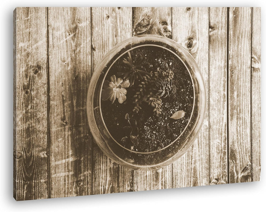 deyoli kleine Hauspflanzen Format: 100x70 Effekt: Sepia als Leinwand, Motiv fertig gerahmt auf Echth