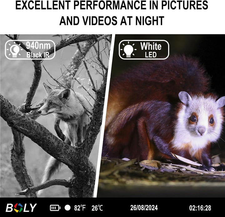 Wildkamera für Nacht, HD,4 K, 37 MP, Infrarot-Jagdkamera, Nachtsicht, für Farbfotos und Videos in de