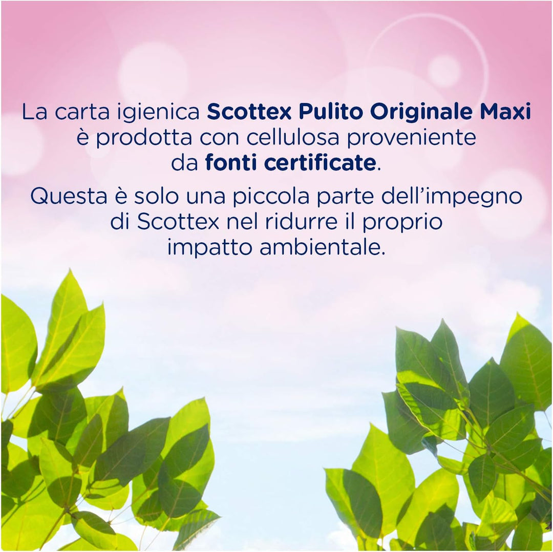 Scottex Pulito Gigante Toilettenpapier, 36 Maxi-Rollen, 500 Risse 36 Maxi Rollen, 36 Maxi Rollen