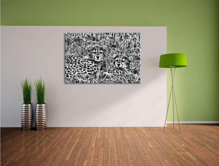 Pixxprint süsse Junge Geparden im Gras als Leinwandbild/Grösse: 100x70 / Wandbild/Kunstdruck/fertig
