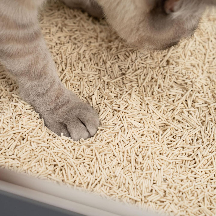 LucyBalu® TOFU Katzenstreu | Klumpendes Katzen Streu | Geruchsbindend und nachhaltig | 4er Set | 24