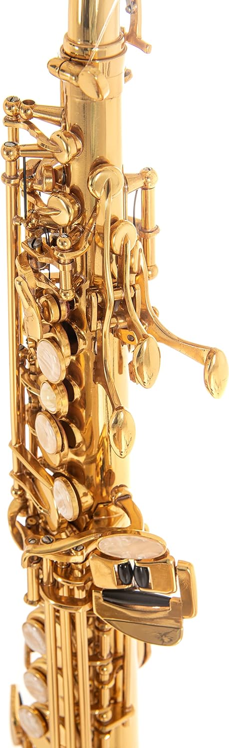 Roy Benson Bb Sopran Saxophon MOD.SS-302 gerade Form lack., inkl. leichtem Rechtecketui, SS-302